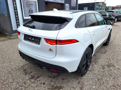 Jaguar F-Pace Gebrauchtwagen