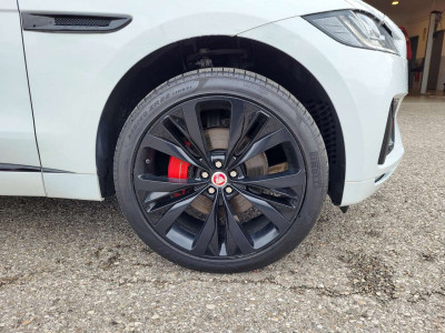 Jaguar F-Pace Gebrauchtwagen