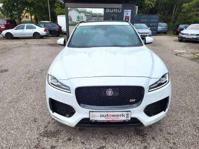 Jaguar F-Pace Gebrauchtwagen