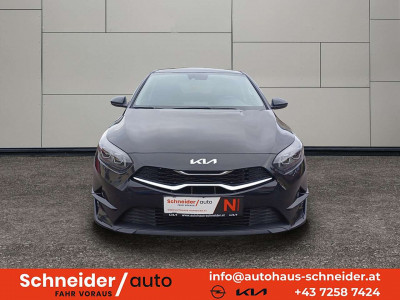 KIA Ceed Tageszulassung