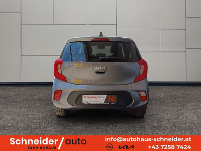 KIA Picanto Tageszulassung