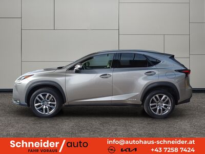 Lexus NX Gebrauchtwagen