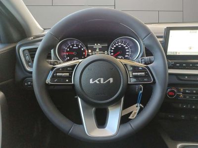 KIA Ceed Vorführwagen