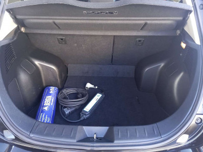 Nissan Leaf Gebrauchtwagen