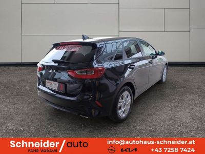 KIA Ceed Tageszulassung