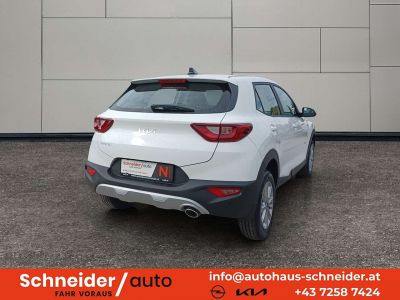 KIA Stonic Neuwagen