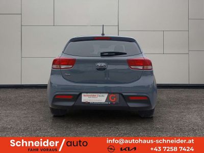 KIA Rio Gebrauchtwagen