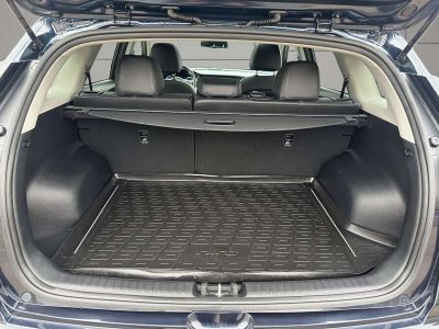 KIA Niro Gebrauchtwagen