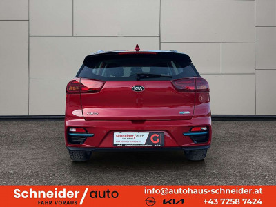 KIA Niro Gebrauchtwagen