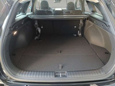 KIA Ceed Vorführwagen