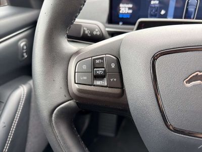 Ford Mustang Mach-E Gebrauchtwagen