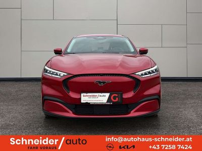 Ford Mustang Mach-E Gebrauchtwagen