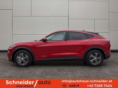 Ford Mustang Mach-E Gebrauchtwagen