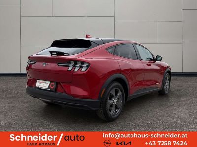 Ford Mustang Mach-E Gebrauchtwagen