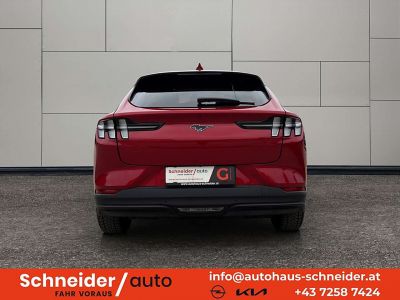 Ford Mustang Mach-E Gebrauchtwagen