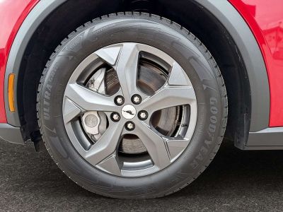 Ford Mustang Mach-E Gebrauchtwagen