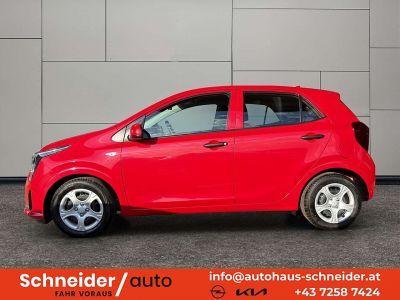 KIA Picanto Neuwagen KIA Picanto Neuwagen