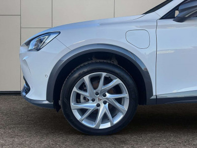 Cupra Formentor Gebrauchtwagen Cupra Formentor Gebrauchtwagen