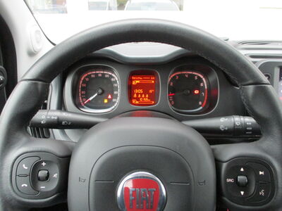 Fiat Panda Gebrauchtwagen