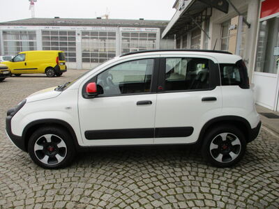 Fiat Panda Gebrauchtwagen