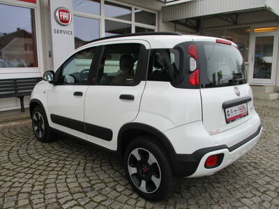Fiat Panda Gebrauchtwagen