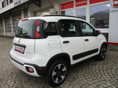 Fiat Panda Gebrauchtwagen