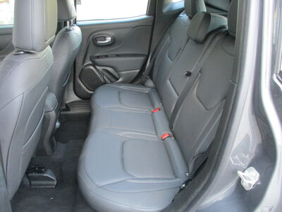 Jeep Renegade Tageszulassung