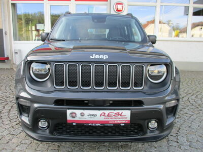Jeep Renegade Tageszulassung