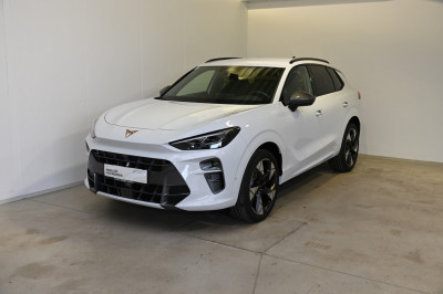 Cupra Terramar Gebrauchtwagen