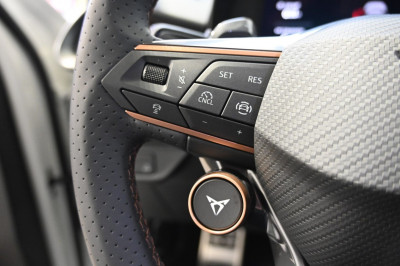 Cupra Terramar Gebrauchtwagen