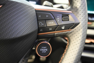 Cupra Terramar Gebrauchtwagen