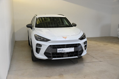 Cupra Terramar Gebrauchtwagen