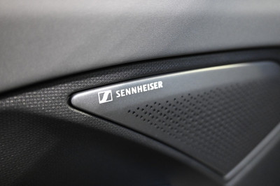 Cupra Terramar Gebrauchtwagen