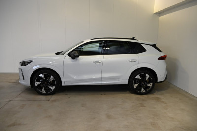 Cupra Terramar Gebrauchtwagen
