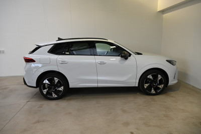 Cupra Terramar Gebrauchtwagen