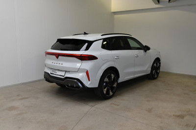Cupra Terramar Gebrauchtwagen