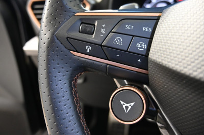 Cupra Formentor Gebrauchtwagen