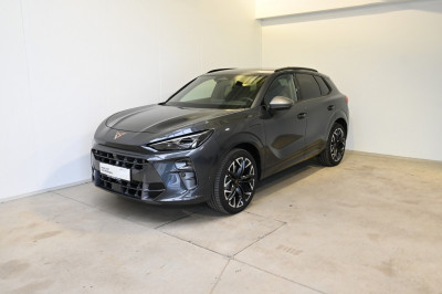 Cupra Terramar Gebrauchtwagen