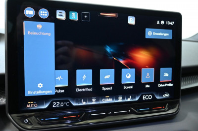 Cupra Terramar Gebrauchtwagen