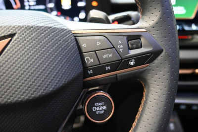 Cupra Terramar Gebrauchtwagen