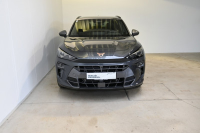 Cupra Terramar Gebrauchtwagen