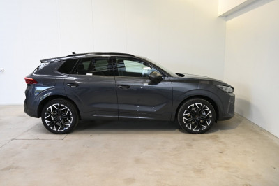 Cupra Terramar Gebrauchtwagen