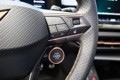 Cupra Terramar Gebrauchtwagen