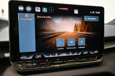 Cupra Terramar Gebrauchtwagen