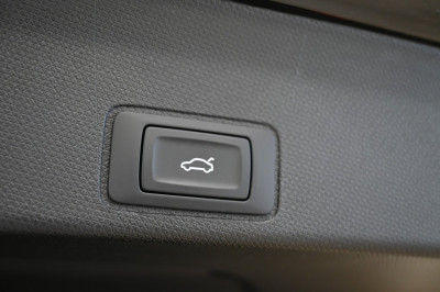 Cupra Terramar Gebrauchtwagen