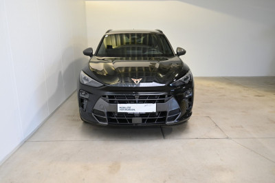 Cupra Terramar Gebrauchtwagen