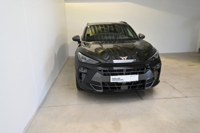 Cupra Terramar Gebrauchtwagen