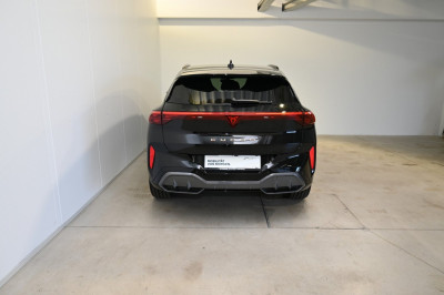 Cupra Terramar Gebrauchtwagen