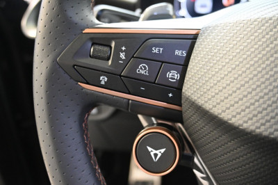 Cupra Terramar Gebrauchtwagen Cupra Terramar Gebrauchtwagen