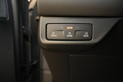 Cupra Terramar Gebrauchtwagen